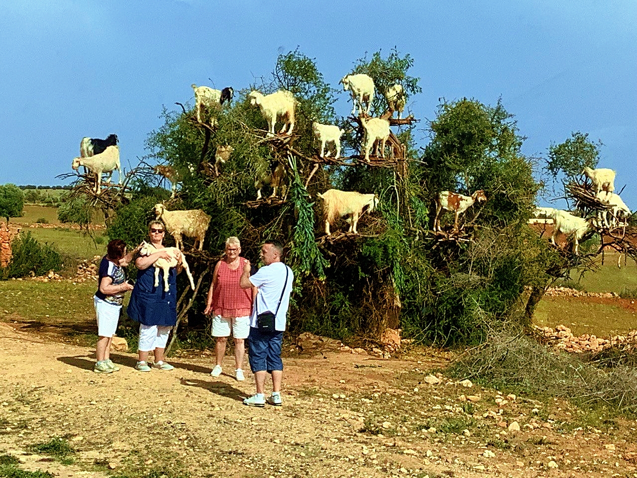 Client making memories